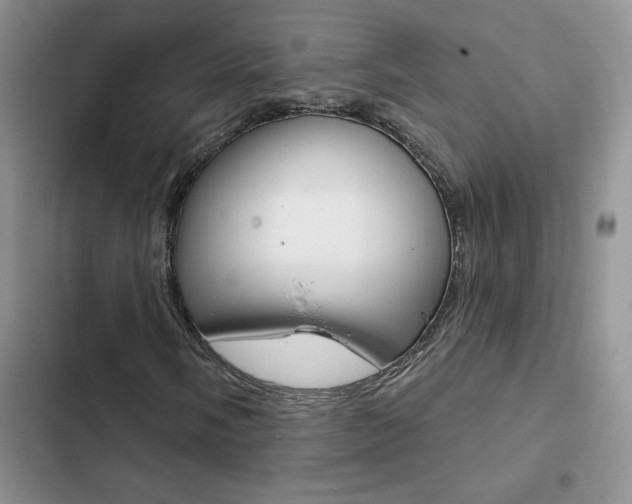 X0000102831058200808181044
