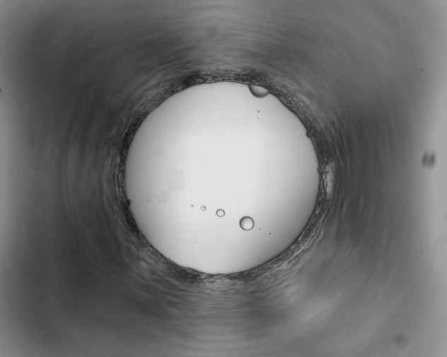 X0000102831059200808181044