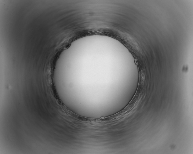 X0000102831060200808181044