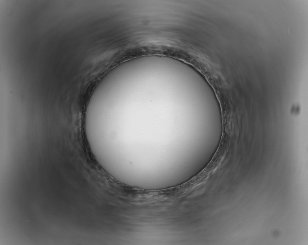 X0000102831061200808181044
