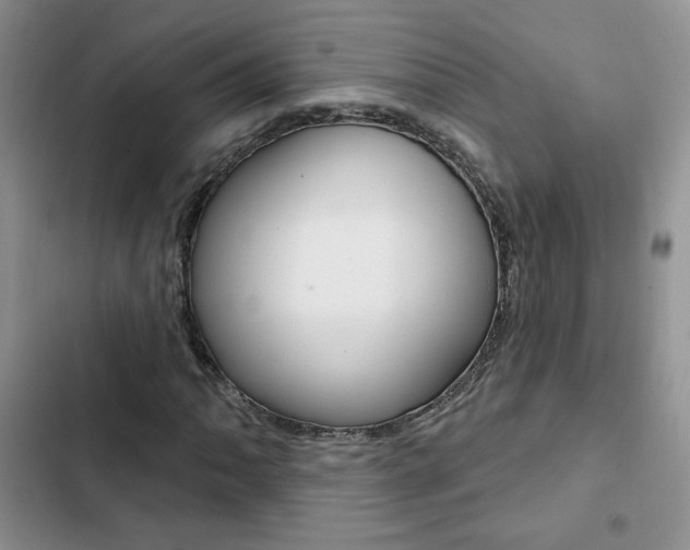 X0000102831062200808181044
