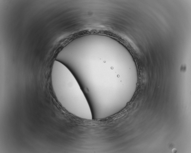 X0000102831063200808181044