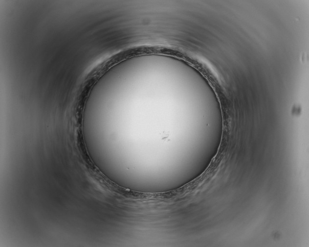 X0000102831064200808181044