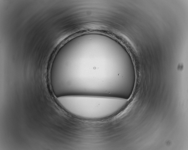 X0000102831065200808181044