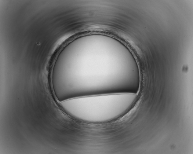 X0000102831066200808181044