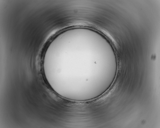 X0000102831067200808181044
