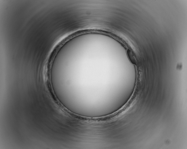 X0000102831069200808181044