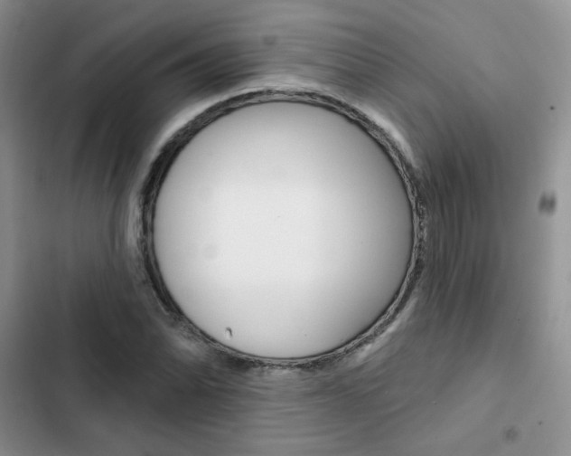 X0000102831070200808181044