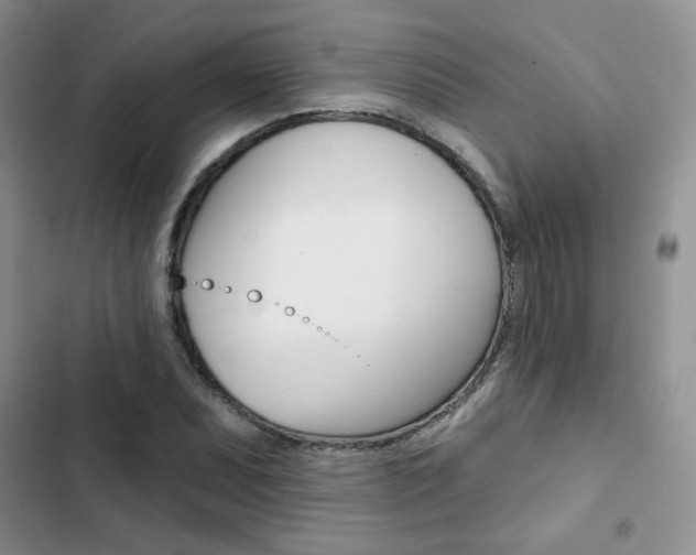 X0000102831071200808181044