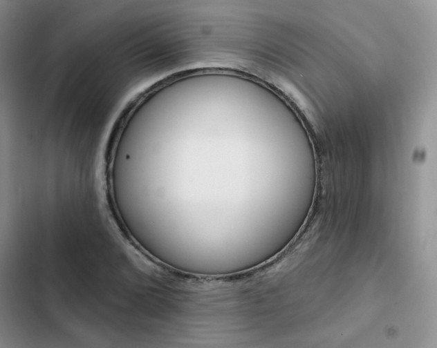 X0000102831072200808181044