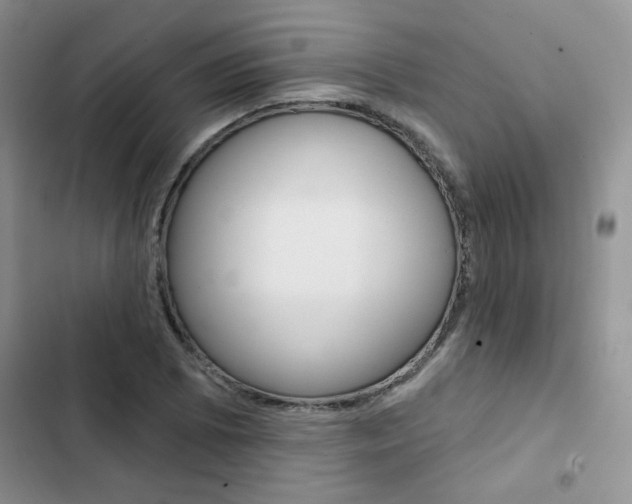 X0000102831073200808181044