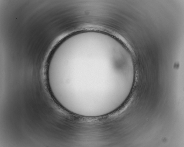 X0000102831074200808181044