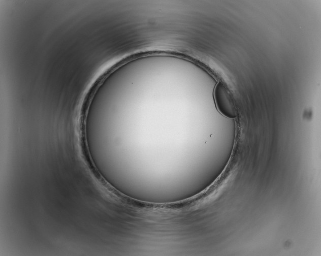 X0000102831077200808181044