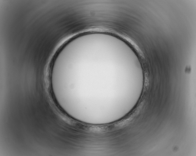 X0000102831078200808181044
