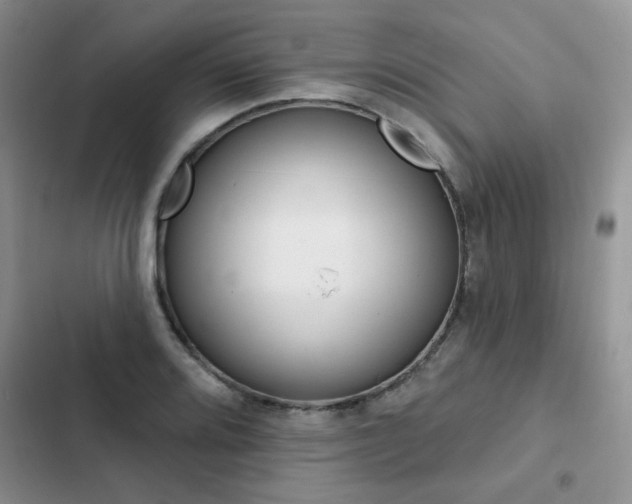 X0000102831080200808181043
