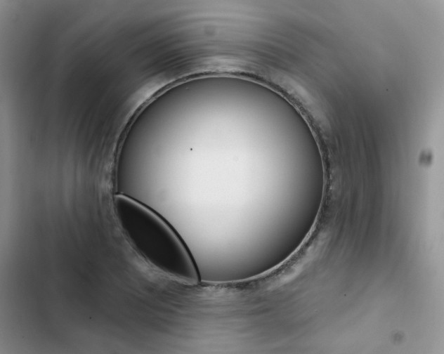 X0000102831081200808181043
