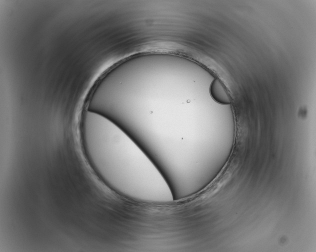 X0000102831083200808181043