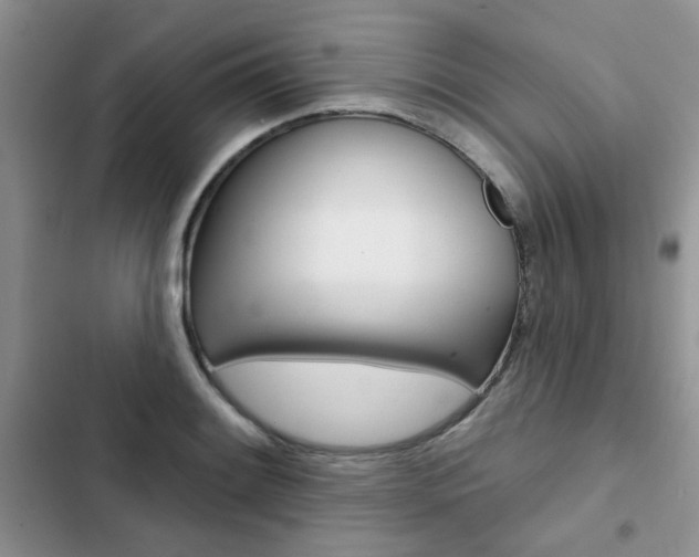 X0000102831084200808181043