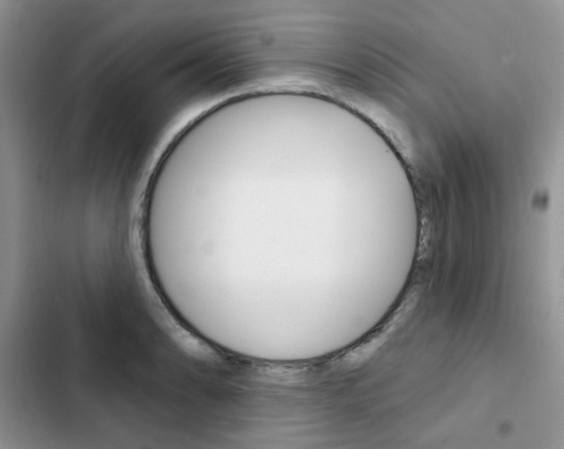 X0000102831086200808181043