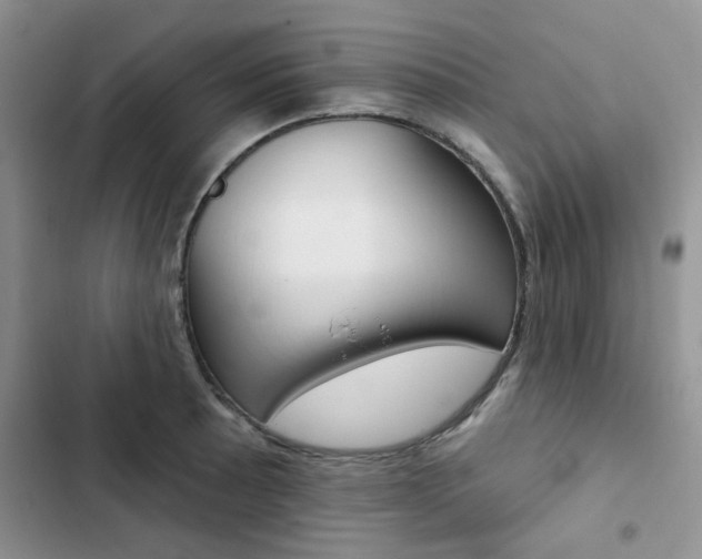 X0000102831089200808181043