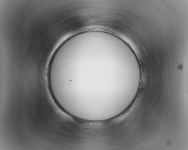 X0000102831090200808181043