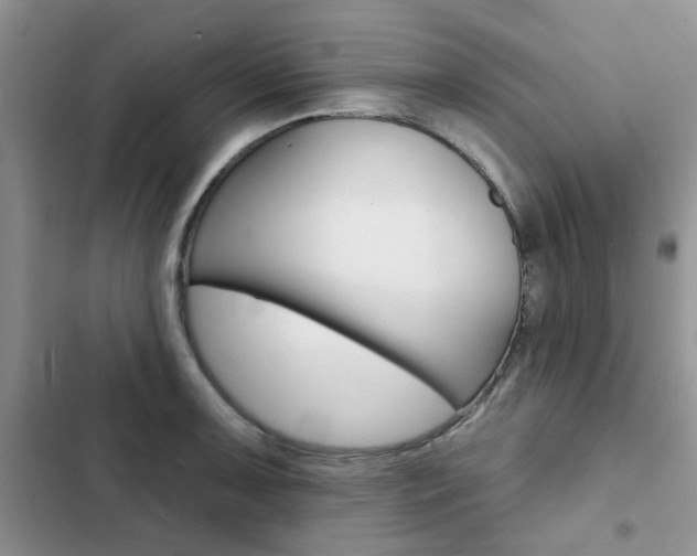 X0000102831091200808181043