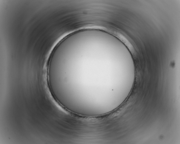 X0000102831092200808181043