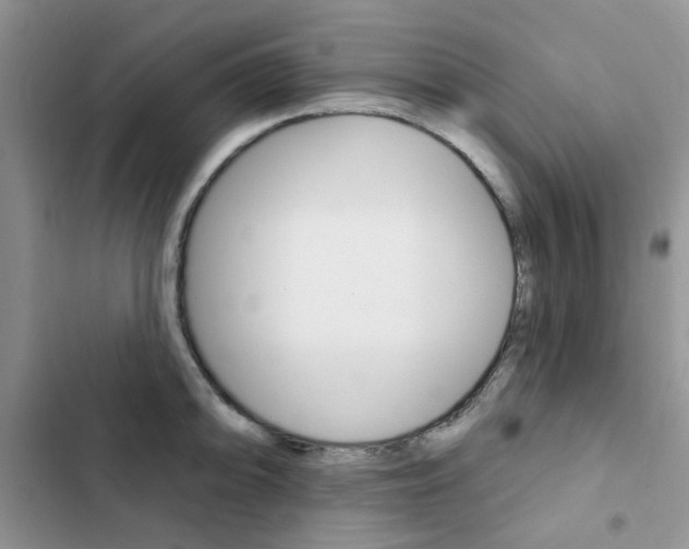 X0000102831094200808181043
