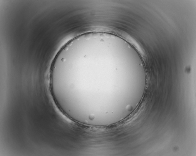 X0000102831095200808181043