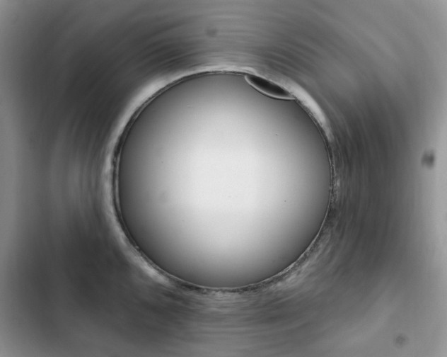 X0000102831096200808181043