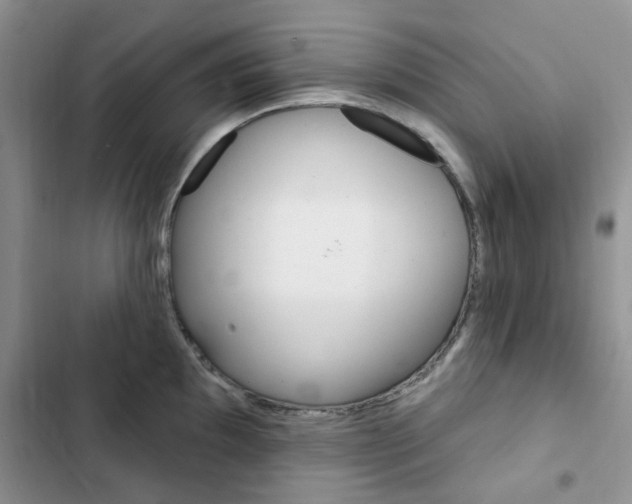 X0000102831097200808181043
