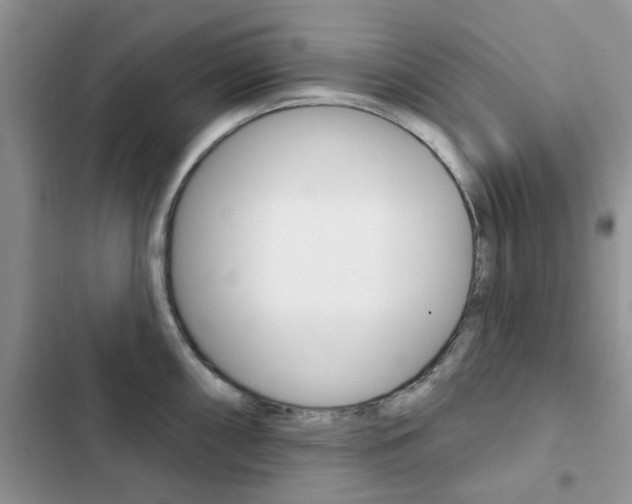 X0000102831098200808181043