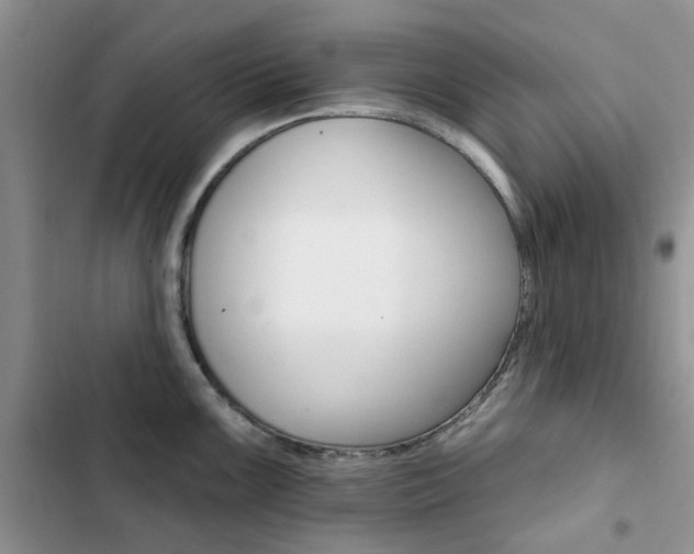 X0000102831099200808181043