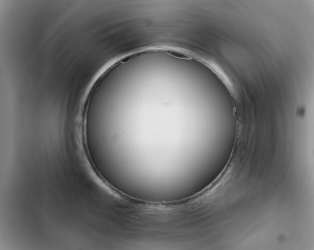 X0000102831100200808181043