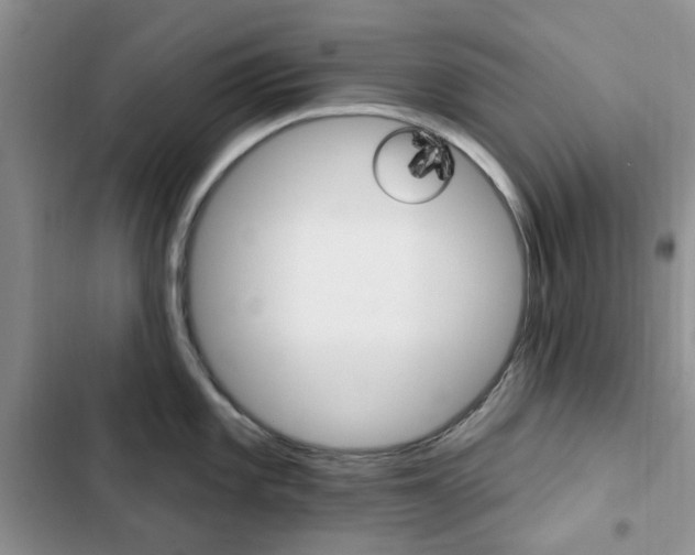 X0000102831101200808181043