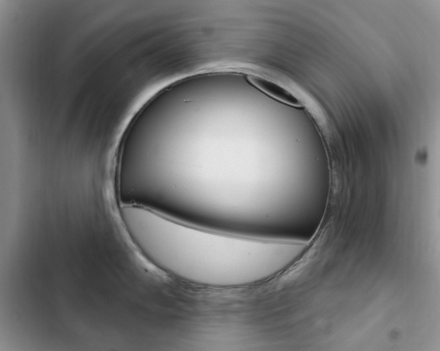 X0000102831102200808181043