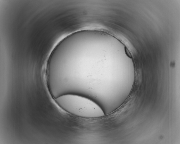 X0000102831103200808181043