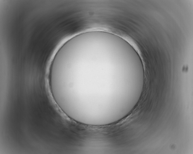 X0000102831104200808181043