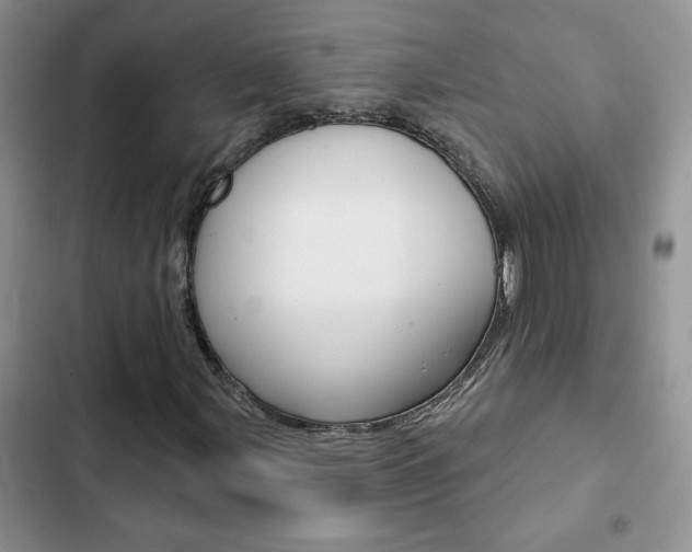 X0000102831107200808181043