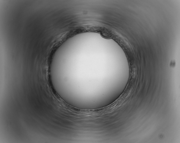 X0000102831108200808181043