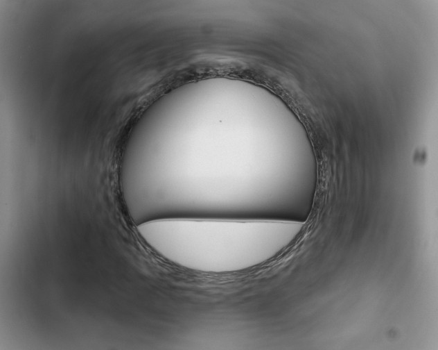 X0000102831109200808181043