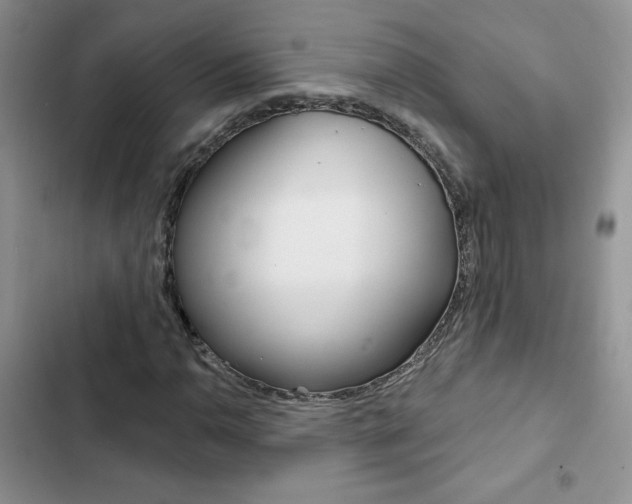 X0000102831110200808181043