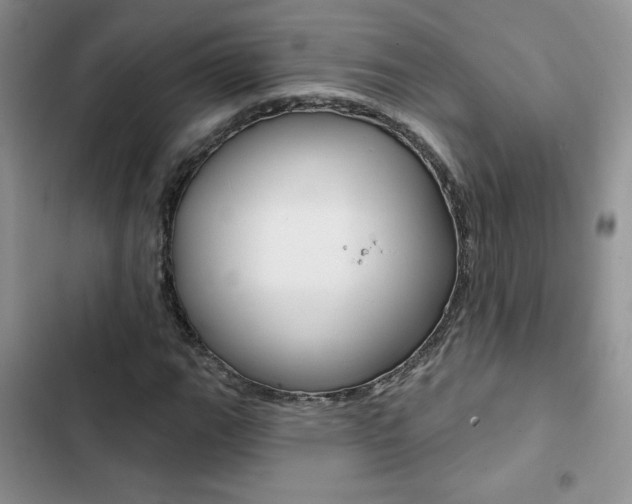 X0000102831111200808181043