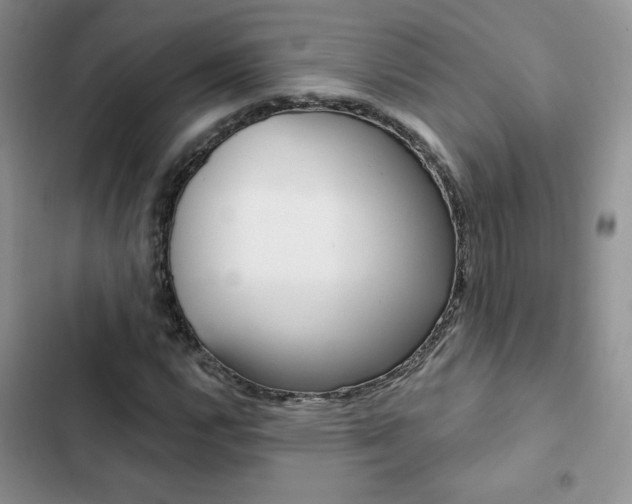 X0000102831112200808181043