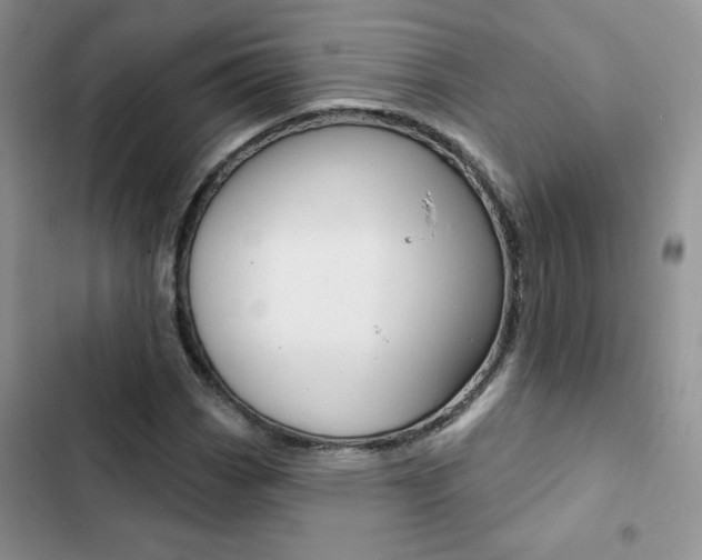 X0000102831113200808181043