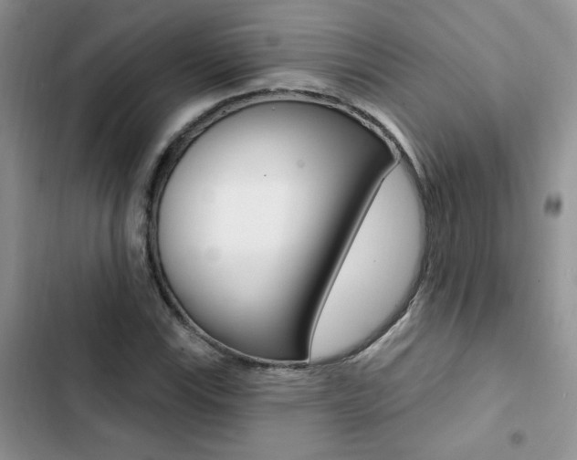 X0000102831115200808181043