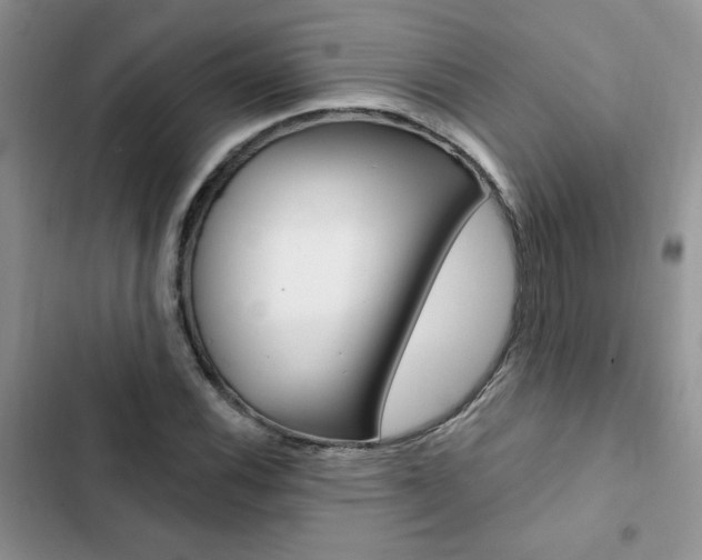 X0000102831116200808181043