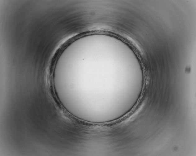 X0000102831117200808181043