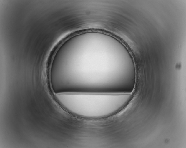 X0000102831118200808181043