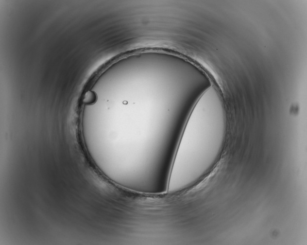 X0000102831119200808181043